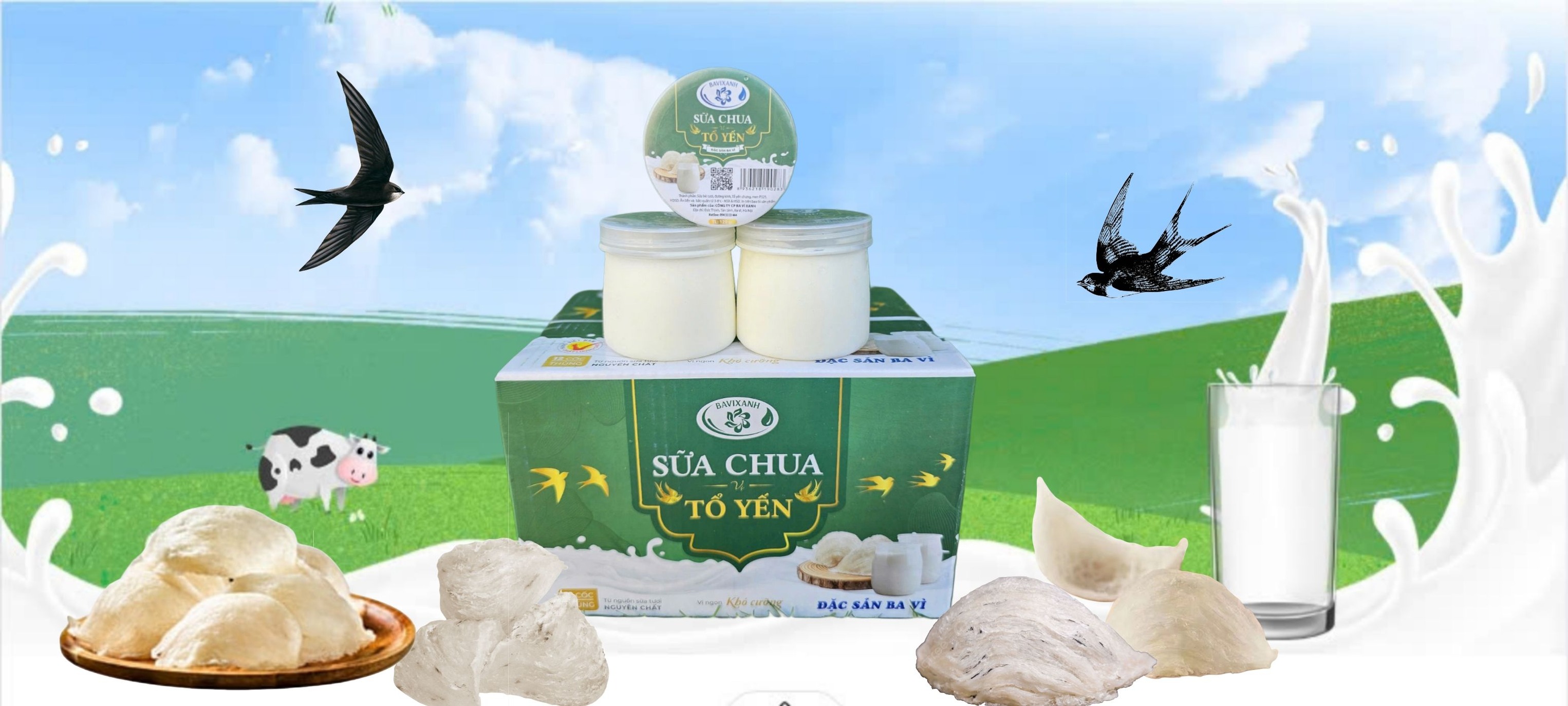 Sữa chua tổ yến Ba vì xanh